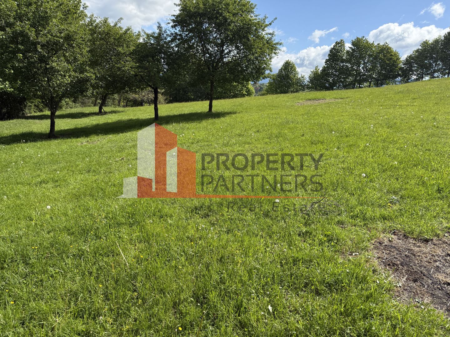 Teren Bran Sohodol 6700 mp - Poză 5