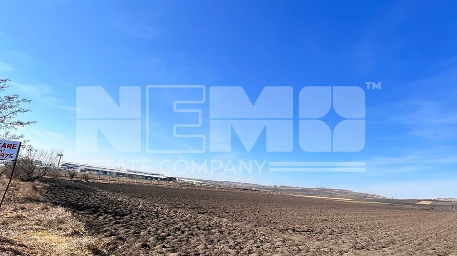 Vanzare I Teren I Suceava/Stroiesti I 100 ARI 2999 Euro/Ar - Poză 4