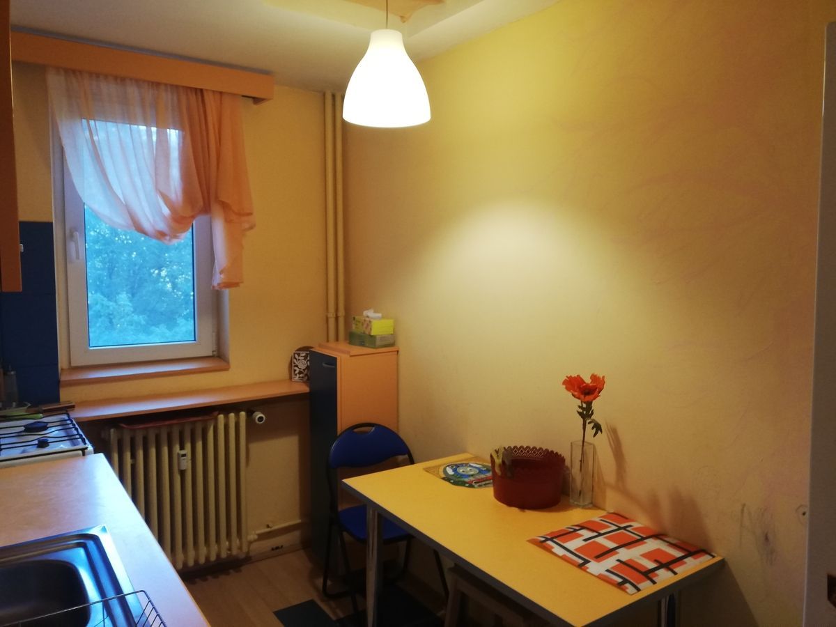 Apartament 2 camere de inchiriat, parcare, Pet Friendly - Drumul Taberei - Poză 8
