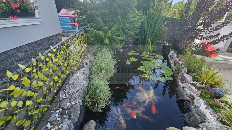 Vila plan parter - mobilata utilata - lux - Valea Adanca - Poză 2