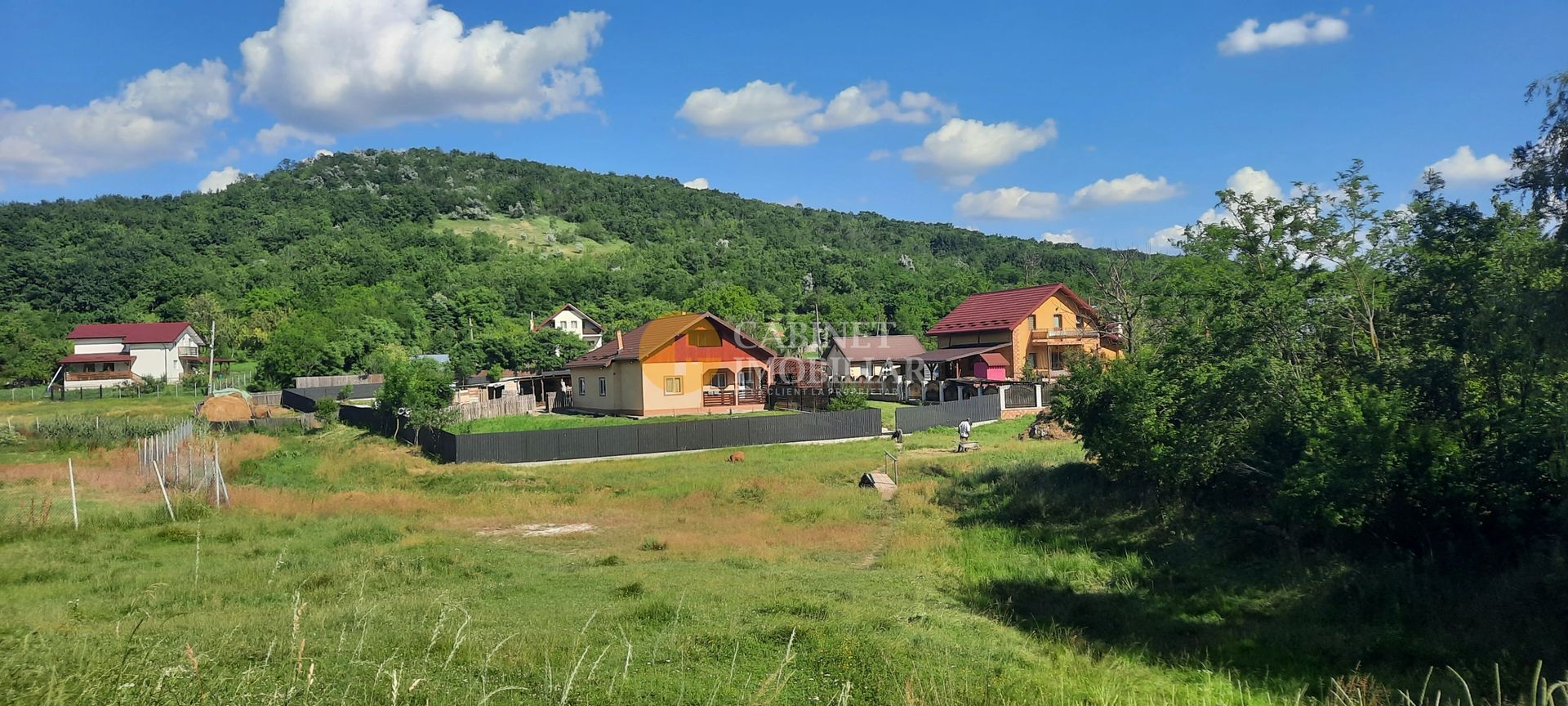 Casă / Vilă cu 2 camere de vânzare în Totoesti - Poză 3