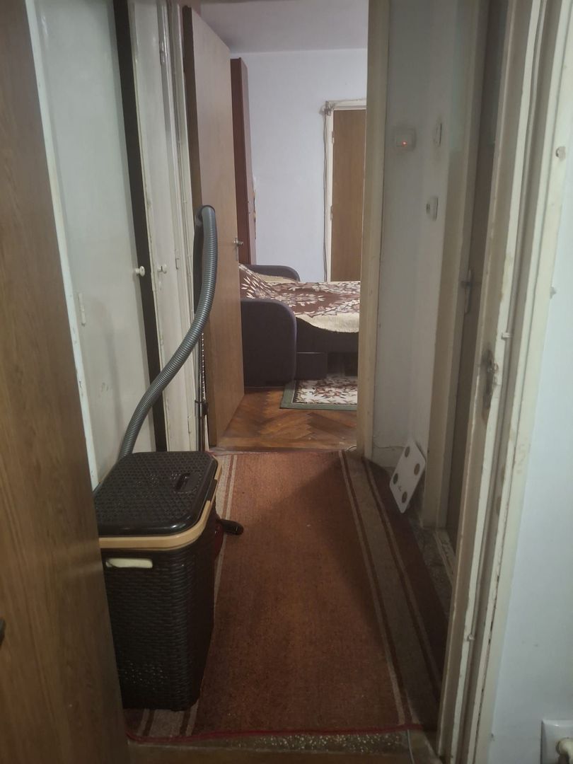 Vanzare apartament 2 camere Titan -Camil Ressu, Park Lake - Poză 5