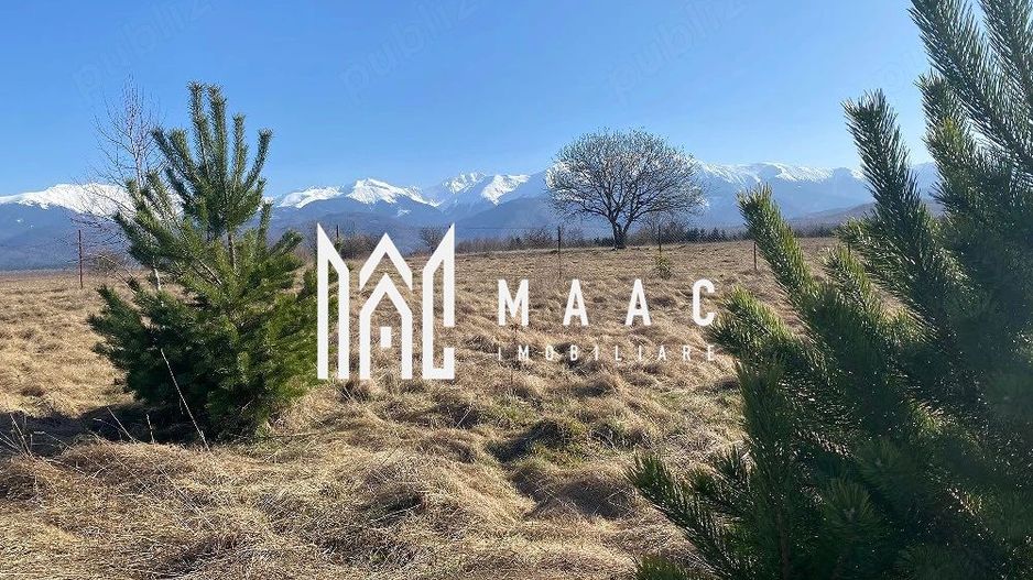 Teren Intravilan | 1000 MP | Valea Avrigului - Poză 1