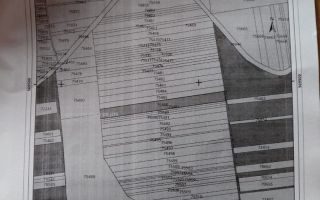 Livadă pe rod de 1570 mp, cu acces facil, în Muntenii de Jos, județul Vaslui - Poză 1