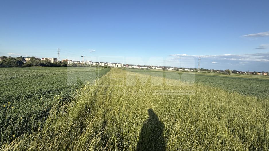 Teren extravilan de vânzare în zona Osoi – 2.650 mp | Front 10 m - Poză 3
