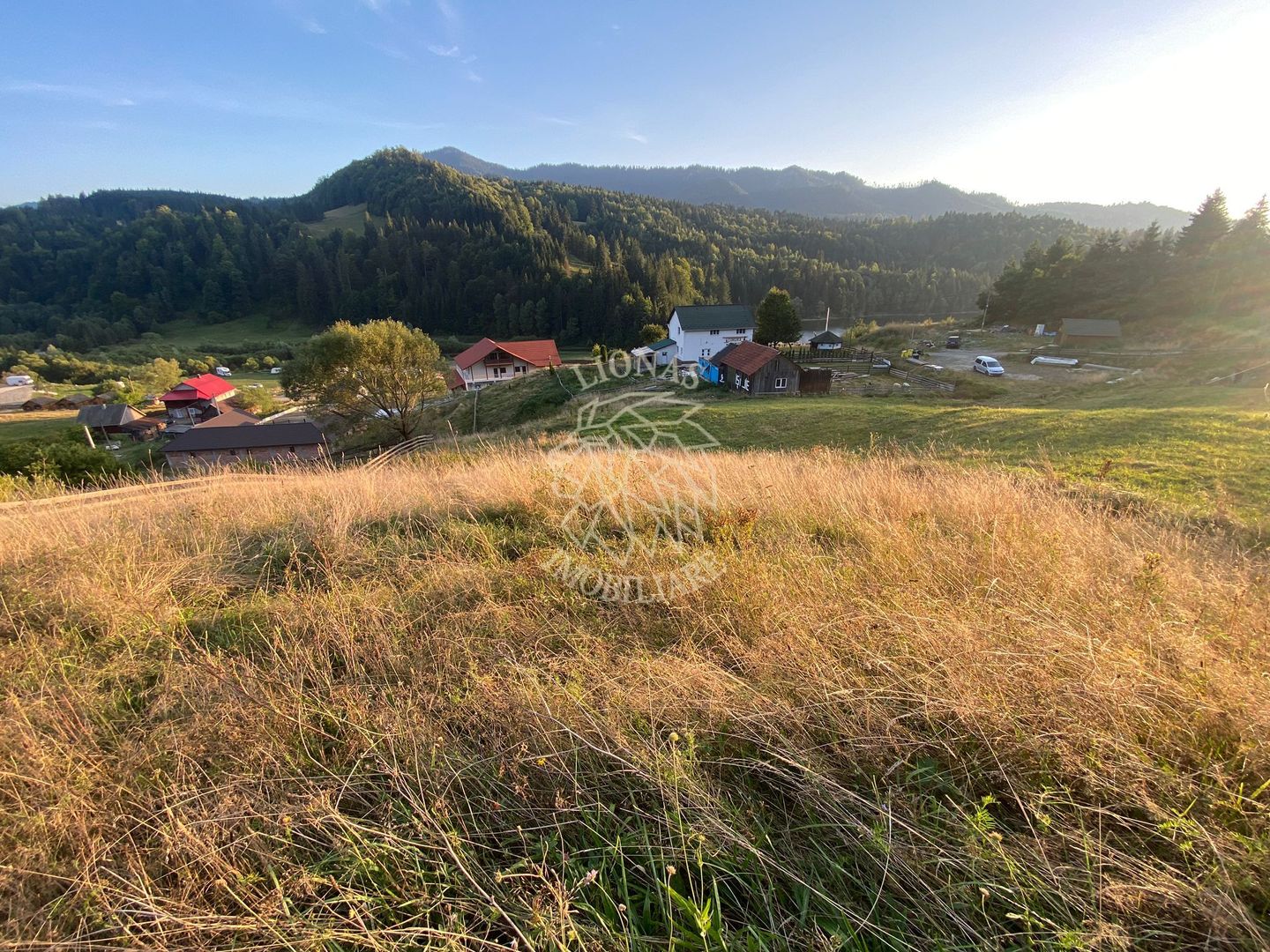 Teren Intravilan 1000mp-panorama-oportunitate investitie-Colibita - Poză 3