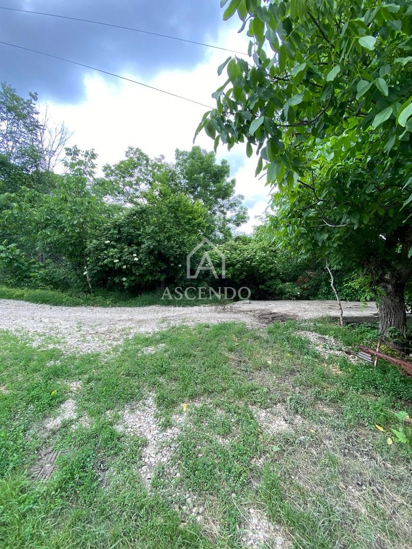 Domeniu 15.900 mp în Fințești | Casă + Investiție Dealu Mare - Poză 25