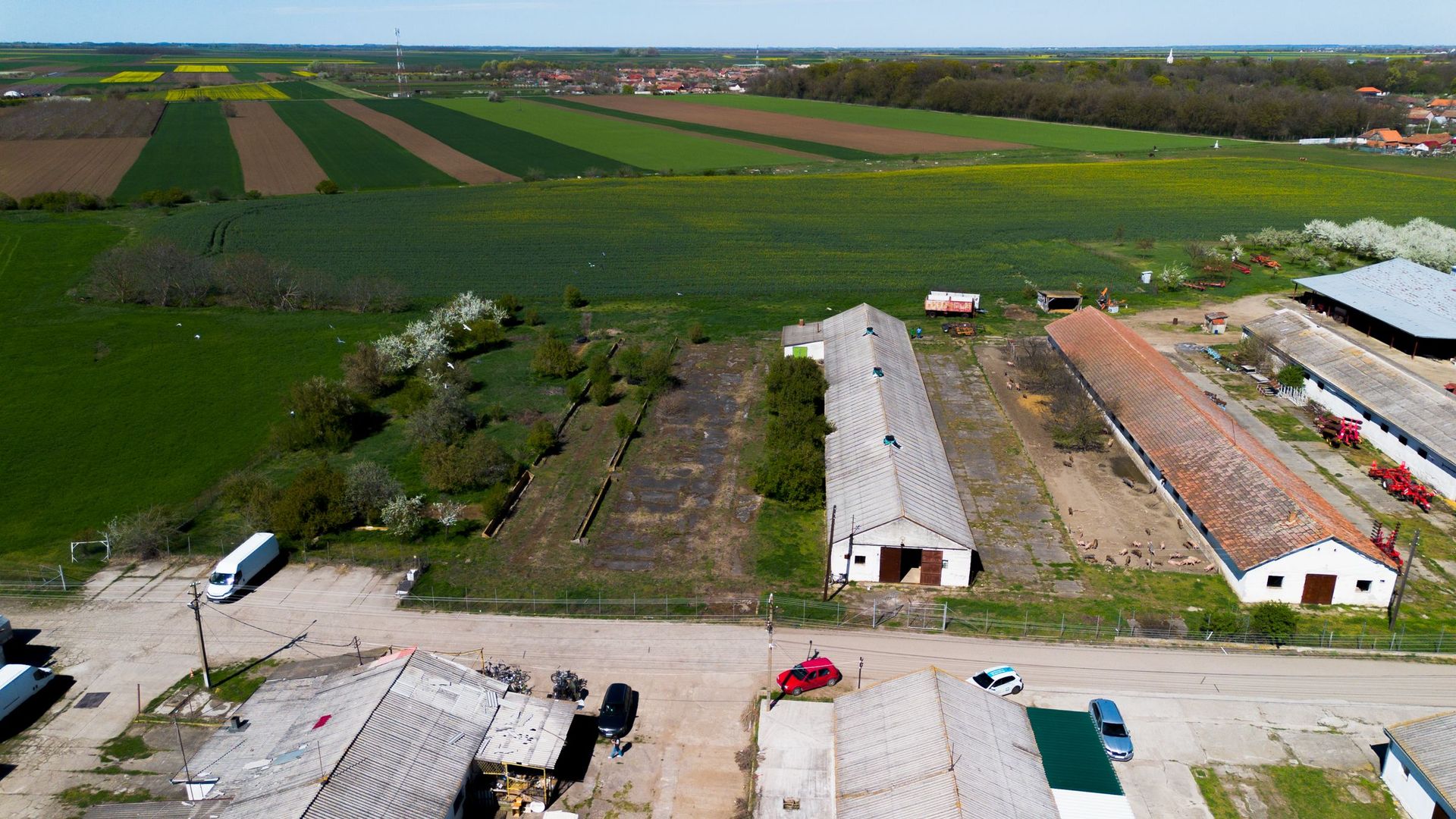 Spațiu depozitare 734mp și teren de 7.844mp Macea - Poză 2