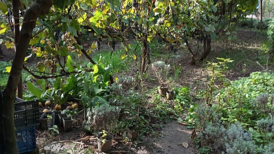 Casă și teren zonă ultracentrală,560 000 euro - Poză 1