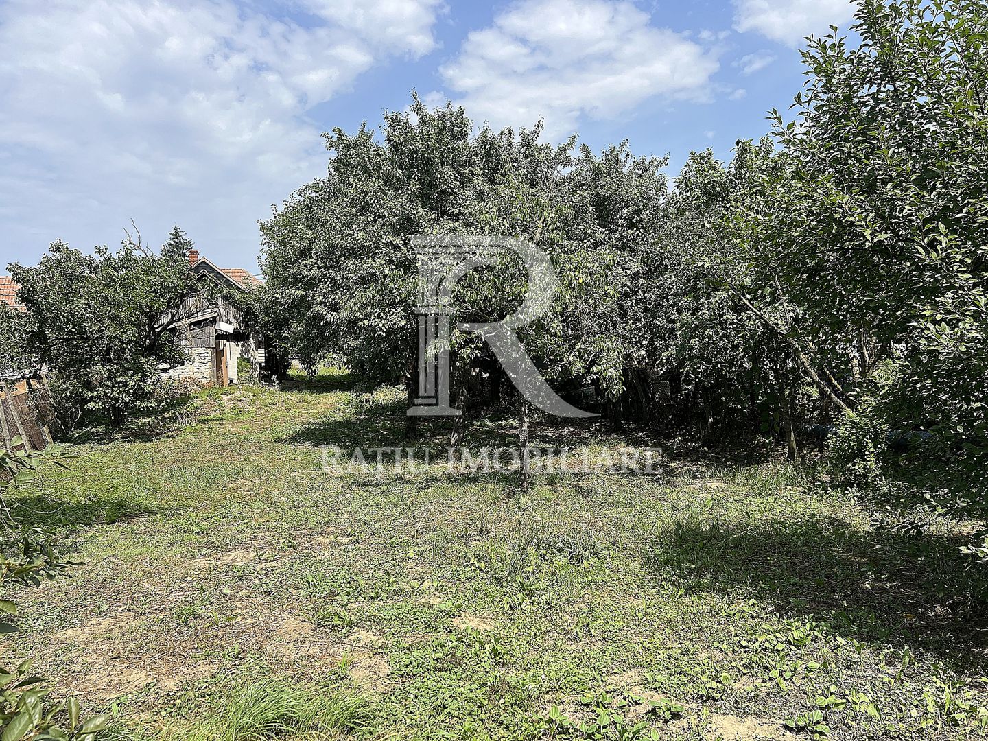 Casa de vacanta | Târgușor | Bihor - Poză 20