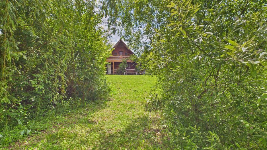 Teren cu baltă- oportunități multiple la Fibiș - Poză 43