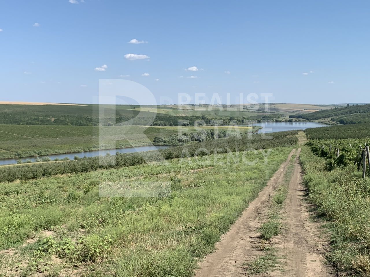 Vânzare, teren, 110 ha, sat. Țînțăreni, Anenii Noi - Poză 4