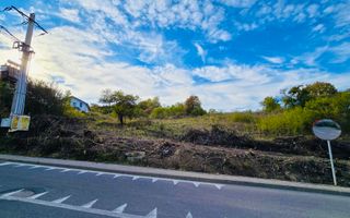 Teren de vanzare,16000 mp - parcelabil, 3 minute de centru! - Poză 4