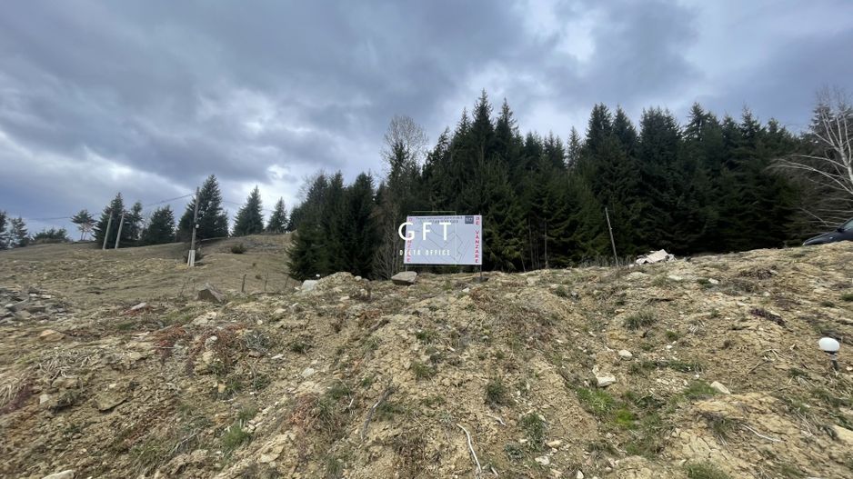 Teren parcelabil cu acces rapid la lacul Colibita - Poză 4