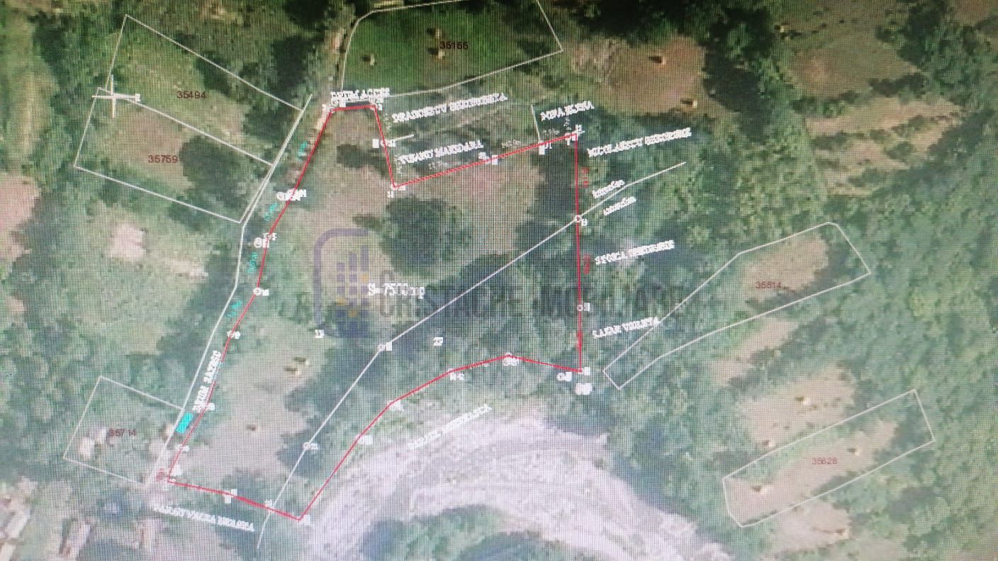 Teren in Comuna Muereasca_suprafata 7489 mp_mixt_situat la 170 m de Primarie - Poză 3