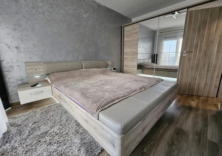 Apartament 2 camere zona Calea Torontalului - Poză 11