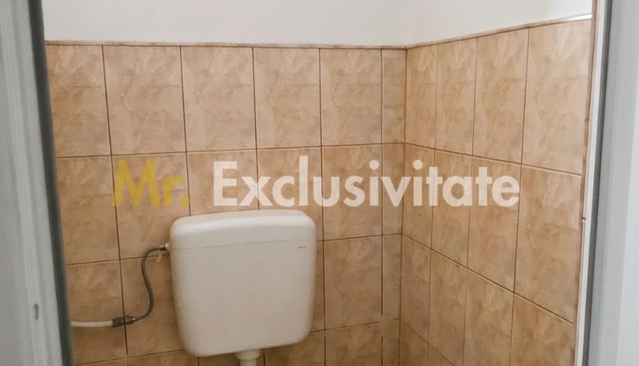 De Vânzare Casă P+M str Vulturului SM - Poză 11