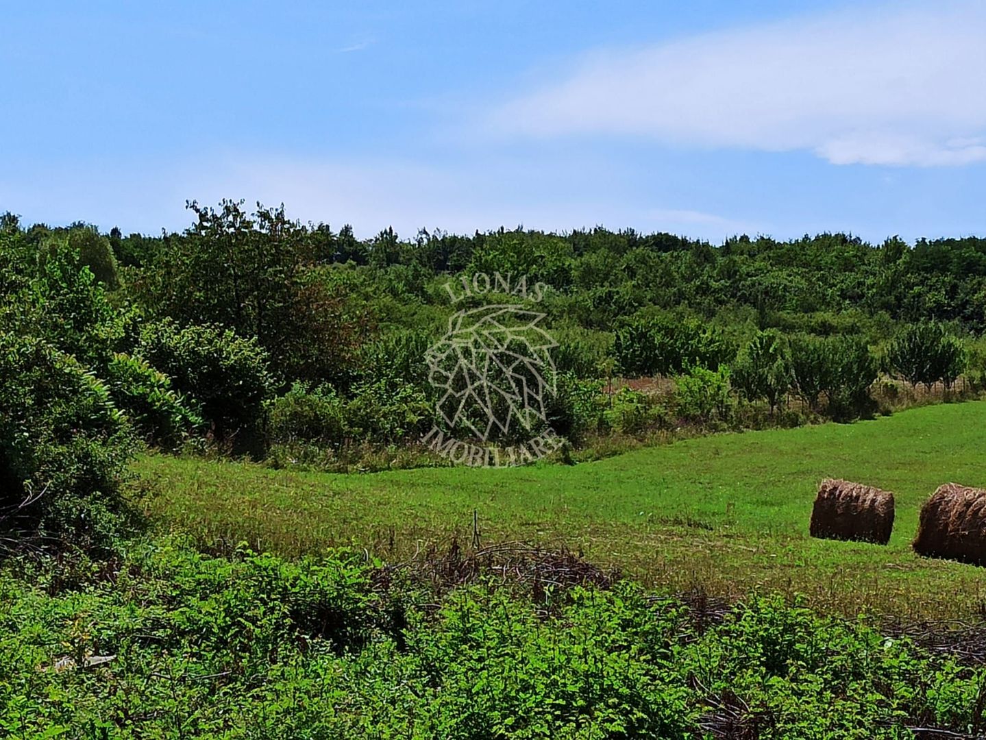 Parcele teren 4038 mp - Parcelabil - Zona Valea Stanelor - Poză 3