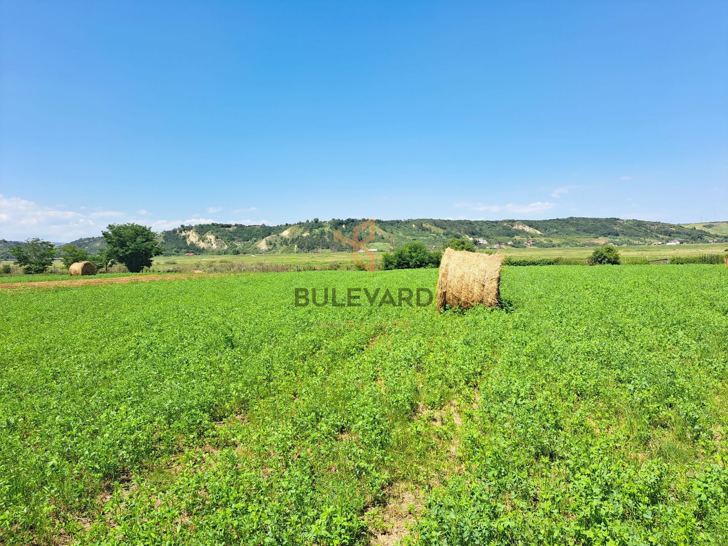 Comision 0! Casa individuala, teren 2363 mp, cartier Poiana! - Poză 9