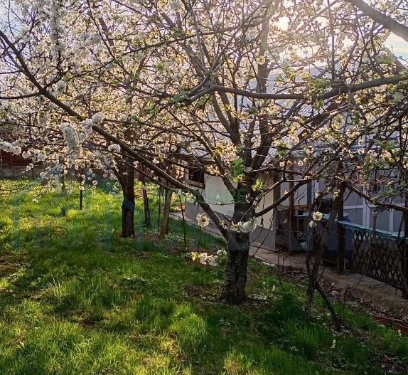 Teren de 2000 mp cu casă în Bucium Pietrarie, Iași – 3 camere, 2 băi, garaj - Poză 8