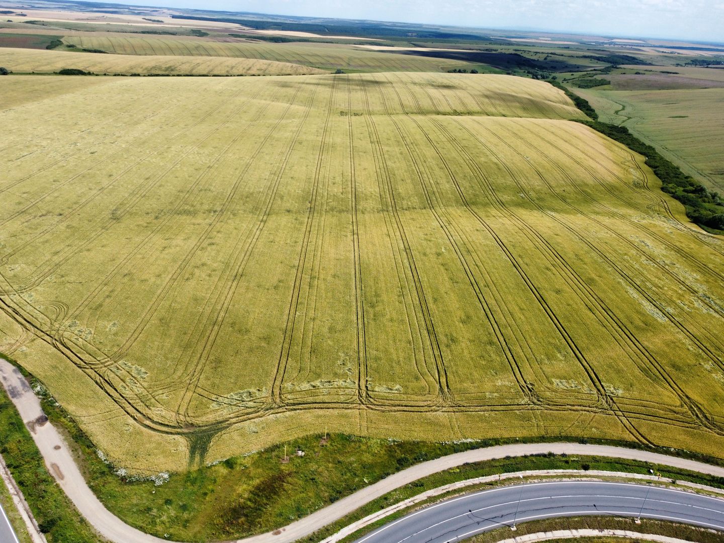 Teren la sosea Ortisoara - Autostrada A1 - Poză 29