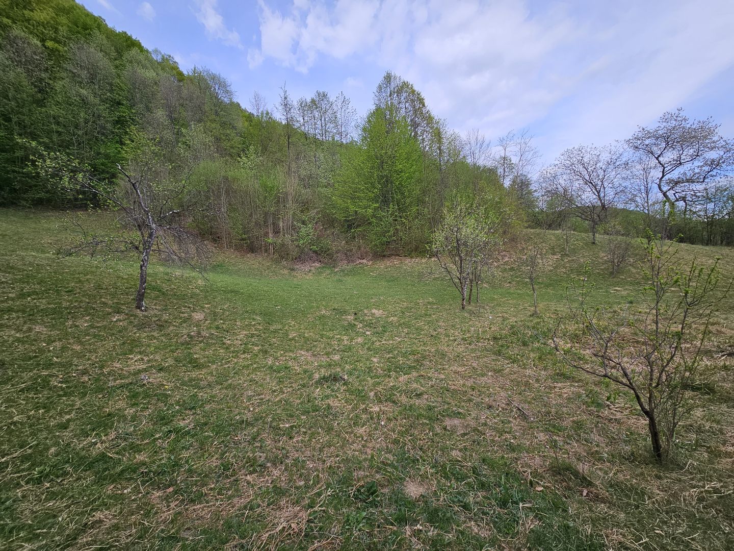 Teren intravilan 1454 mp la marginea padurii zona locuita de case! - Poză 10