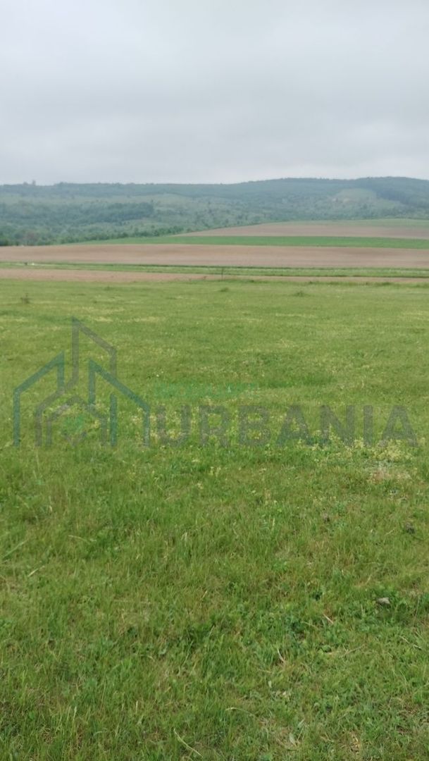 Teren intravilan 7.200 m2, Bordea, Grajduri, ideal case/ investitie - Poză 7