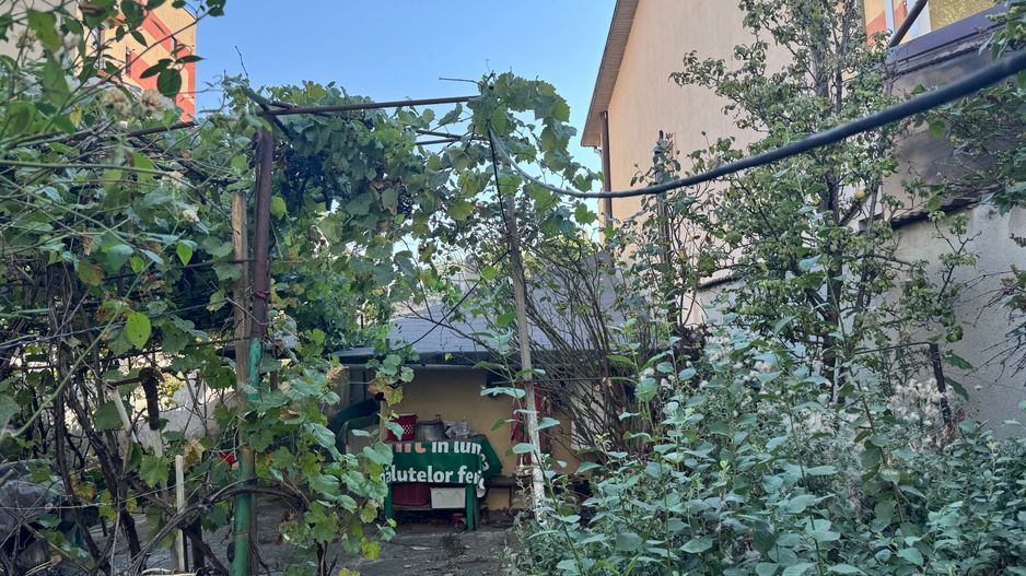 Casa si teren intravilan 512 mp | Bd. Uverturii – zona Cernisoara - Poză 13