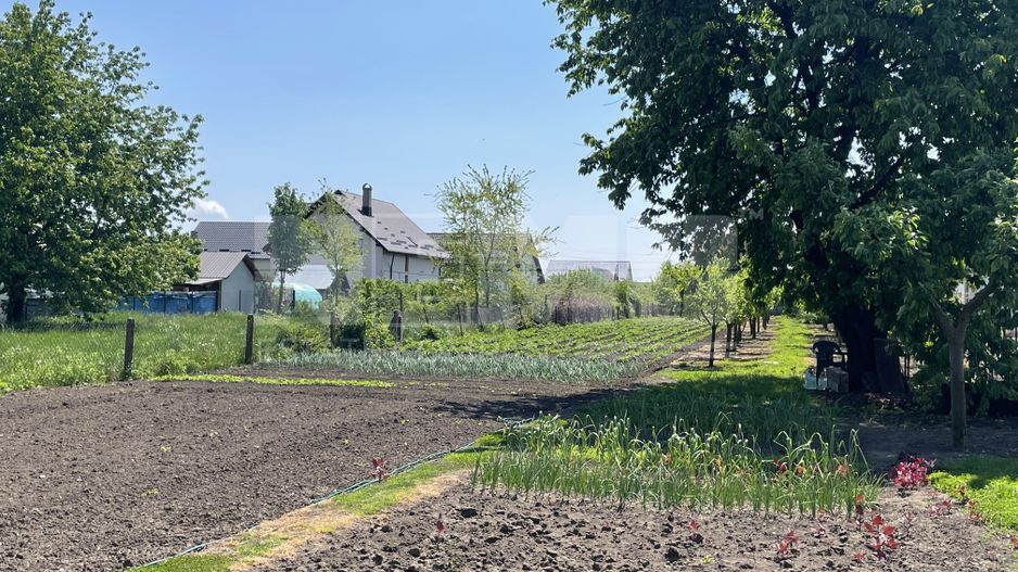 Casa veche stil nemtesc | Teren 23,5 ari | Radauti - Poză 6