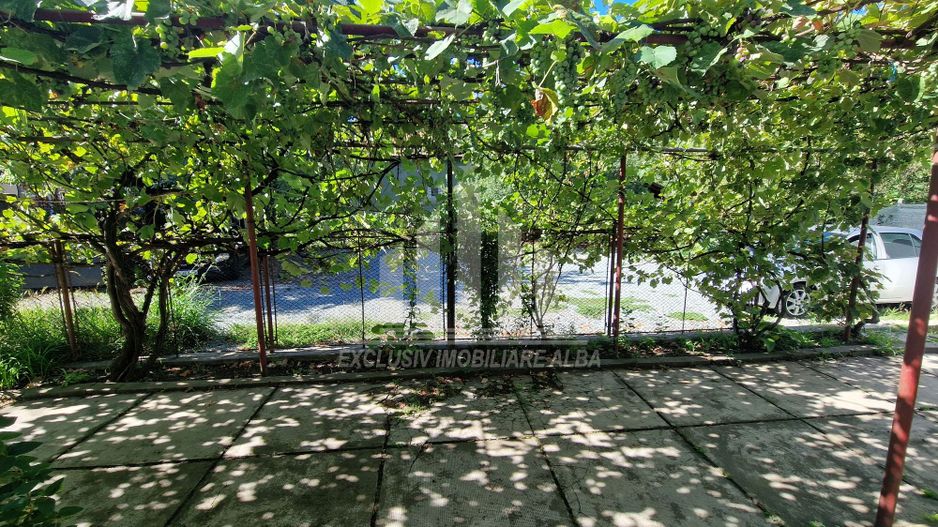 Casa pentru activitati economice  in Cetate - Poză 8