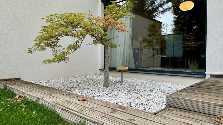 Duplex de inchiriat zona Dumbravita - Poză 7