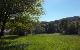 Teren Parau | Valea Danului, Curtea de Arges | Vidraru | - Poză 3