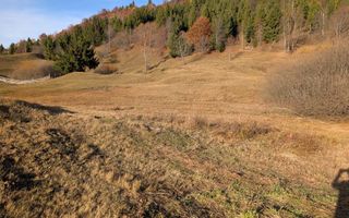 Teren Parcelabil 2950 Panorama la Lac Colibita-ideal Cabana, Pensiune - Poză 7