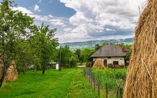 Casa moderna si casa bunicii + 6300 mp teren,Oaza autentica in Corbi Arges- - Poză 19