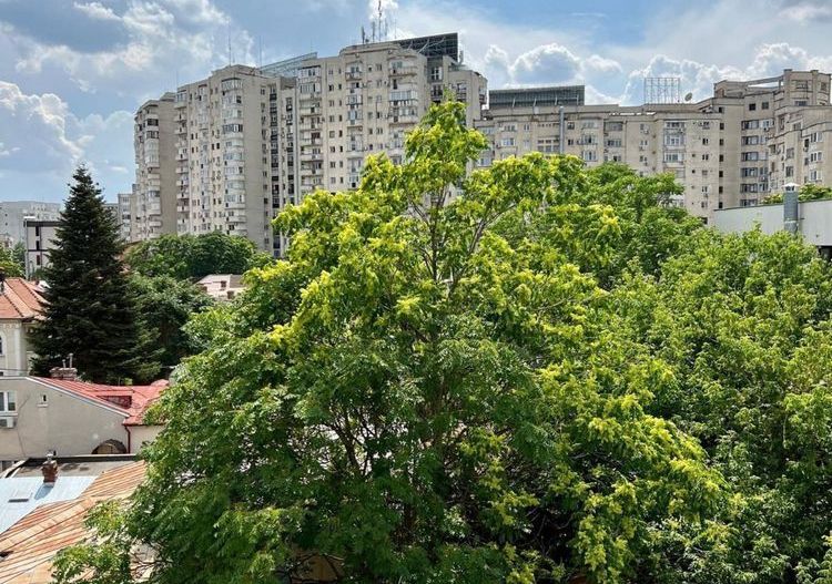 Apartament 2 camere Decebal, centrala proprie, parcare inclusa - Poză 11