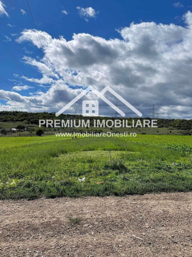 **Teren de vânzare – Onești, Bacău | 5.189 mp - Poză 2