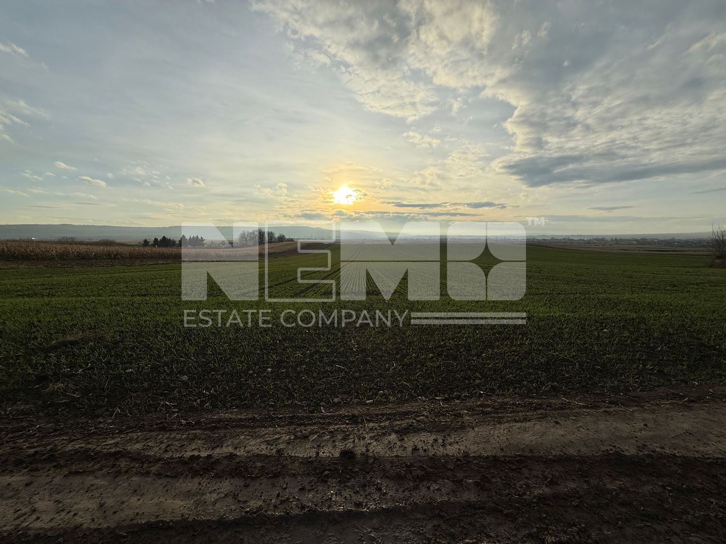 TEREN EXTRAVILAN | E85 | 126.000EURO NEGOCIABIL | - Poză 2