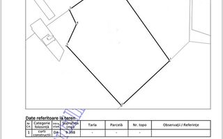 Teren intravilan de vanzare cu o suprafata de 9398 mp in Paleu,Bihor - Poză 1