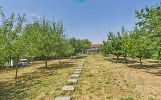 Teren edificabil 1106 mp – Dumbrăvița - Poză 3