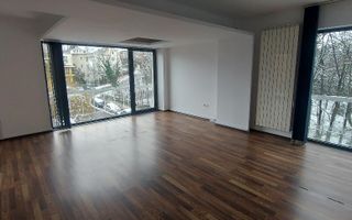 Inchiriere spatiu birouri zona Gradinii Botanice - Poză 2