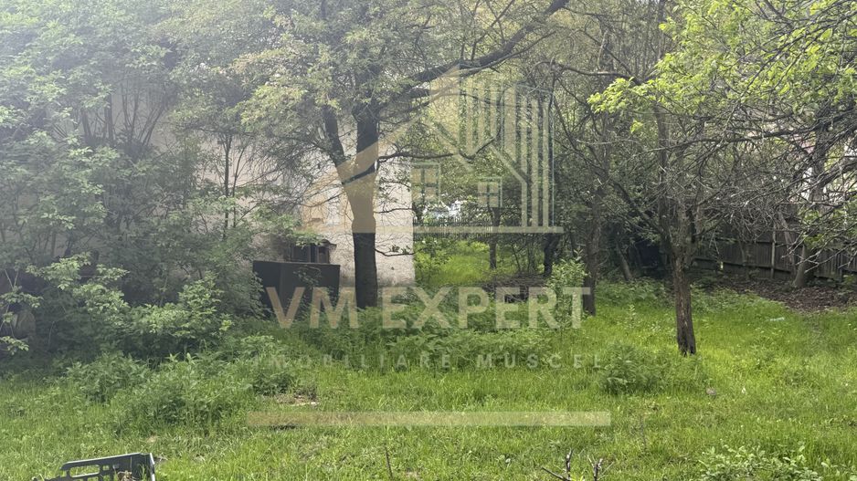 TEREN INTRAVILAN 7018 MP CAMPULUNG - Poză 29