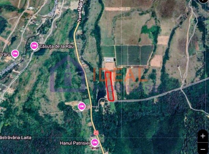 Teren extravilan 6.500 mp – două căi de acces, Cârțișoara - Poză 7