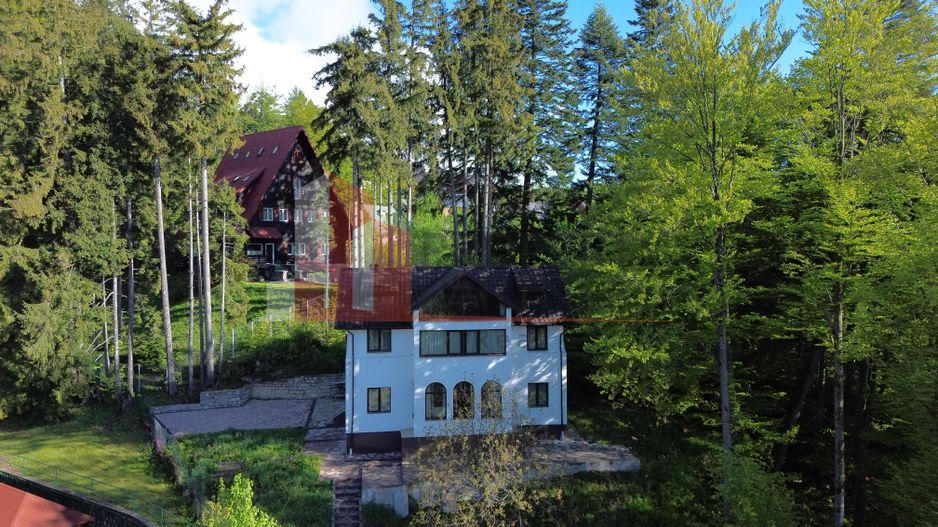 Vila Sinaia - Poză 1