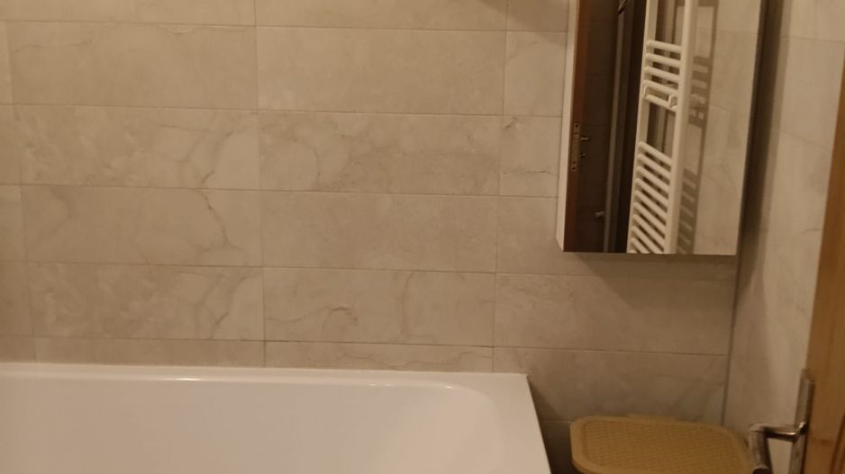 De inchiriat apartament spatios cu vedere la Dunare , etaj 5, 500 euro - Poză 11