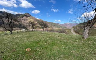 Teren intravilan I 1000 mp I Raul Sadului - Poză 2