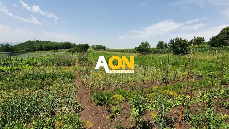 Teren De Vanzare, Zona Oarda de Sus, 2800MP - Poză 1