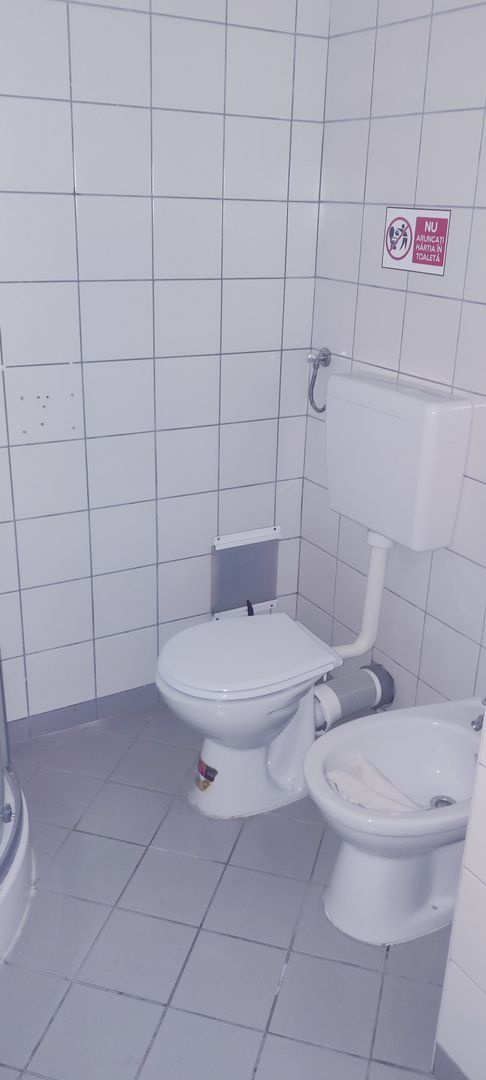 Hala productie /depozitare -zona C.  Sagului - Poză 14