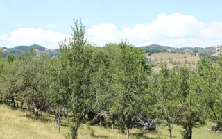 Poiana Sohodol I 5600 MP I Trei corpuri cladiri I Utilitati - Poză 55