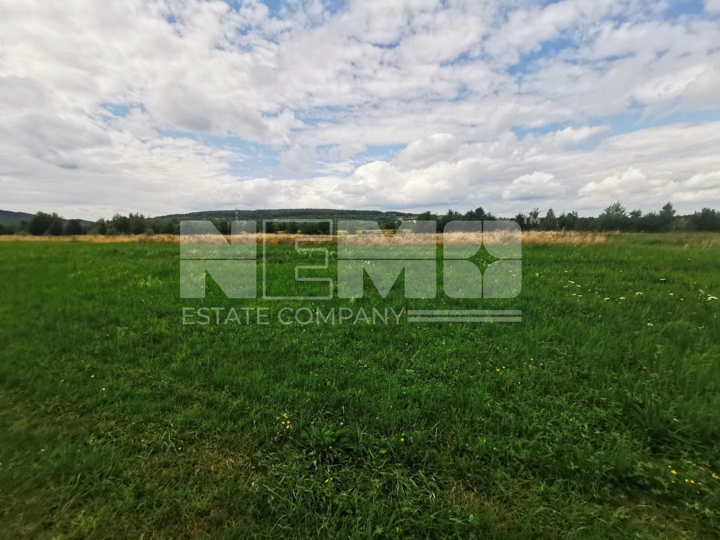 Teren Intravilan | 2.200 mp | Vicovu de Sus - Poză 2