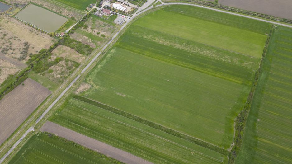 Teren extravilan de 22500mp Zona Ineu - Poză 10